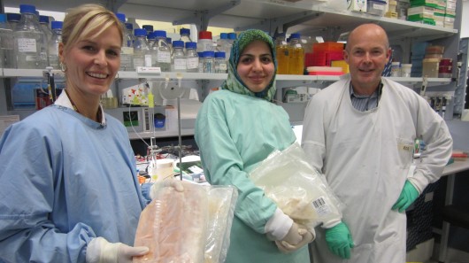 Dr. Marit Kramski (left) and colleagues Behnaz Heydarchi and Rob Center, with bags of froz...