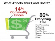What Affects Your Food Costs