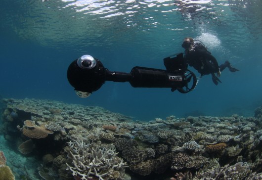 To capture these stunning panoramic views, Google partnered with the Catlin Seaview Survey...