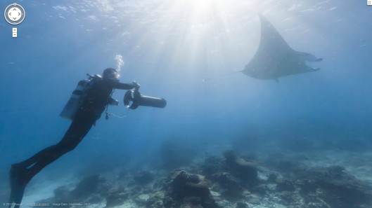 Users can move to different areas of the reef and pan around or zoom in on each one in 360...