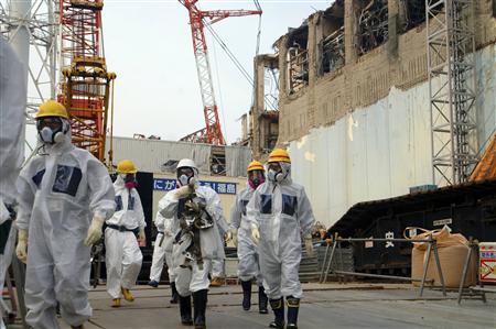 Fuel-rod cooling halted by rats at crippled Japan nuclear plant Photo: IAEA Photo/Handout