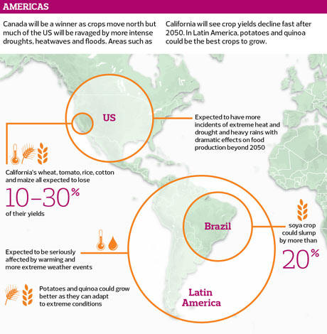 Impact of climate on food in the Americas