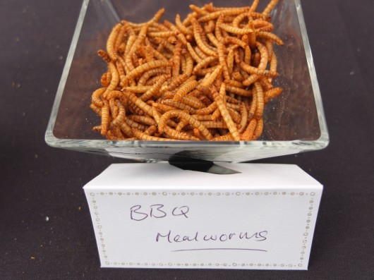 Barbecue mealworms (Photo: Gizmag)