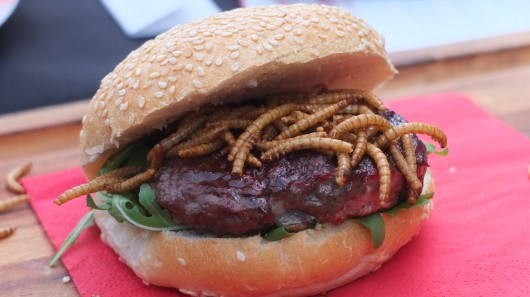 You want flies with that? Mealworms on a pigeon burger at Rentokil's pop-up 'pestaurant' (...