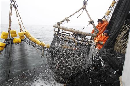 New group seeks to save near-lawless oceans from over-fishing Photo: Enrique Castro-Mendivil