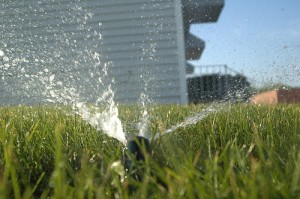 lawn-sprinklers