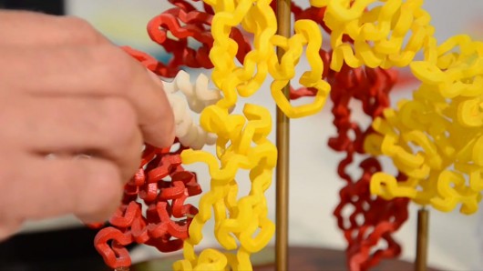 Where the insulin molecule (white) bonds with the insulin receptor