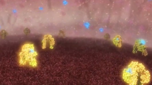 Images showing insulin (blue) molecules binding with insulin receptors (yellow) could help...
