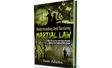 Understanding and Surviving Martial Law book