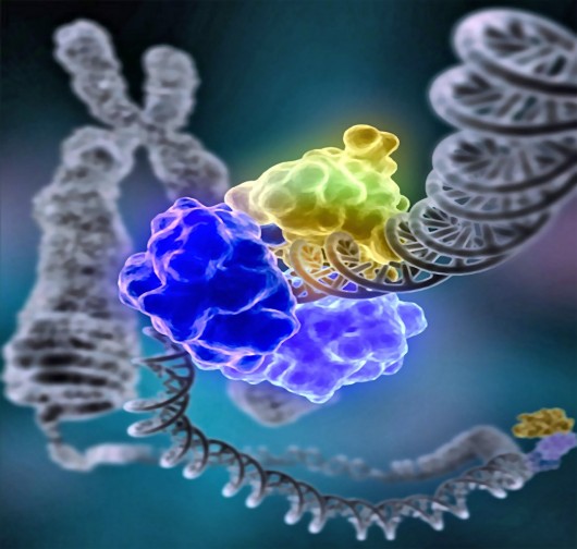 DNA damage is repaired by a special enzyme, DNA ligase, shown encircling the DNA double he...