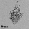 Transmission electron microscopy images showing the spherical silicon nanoparticles about ...