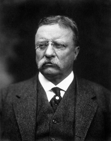 Theodore Roosevelt (Wikipedia)
