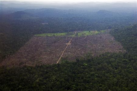 Legal uncertainty cuts progress against Amazon deforestation Photo: ?Stian Bergeland/Rainforest Foundation Norway