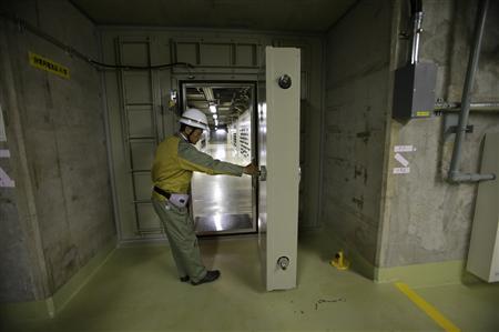 Japan nuclear safety upgrades dazzle, mask industry woes Photo: Toru Hanai