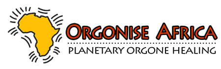 Orgonise Africa Logo