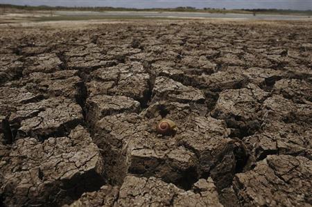 U.N. bodies want to tackle drought to avert food crisis Photo: Lunae Parracho