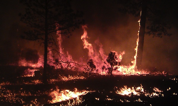 Wildfire photo - Whitewater-Baldy Complex Fire, May 2012 (USFS Gila National Forest)
