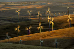 Wind turbines lining Altamont Pass near Livermore Calif. generate electricity Sunday May 12 2013. It's not-so-green secret nation's wind-energy boom: