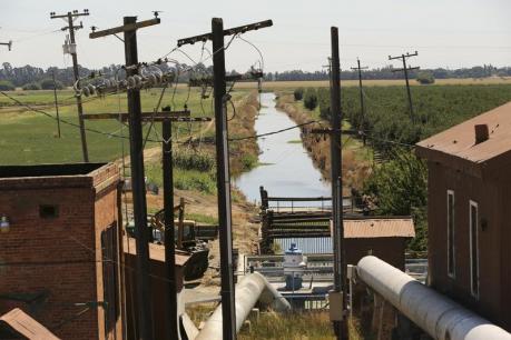 California water woes hit hard in driest year on record Photo: Robert Galbraith