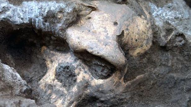 This handout photo received October 17, 2013 courtesy of the Georgian National Museum shows a complete, approximately 2-million-year-old hominid skull (AFP)