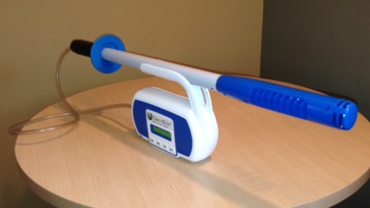 The Immerse-A-Clean wand is said to be much more portable than existing 'bleach generators...