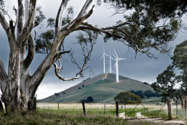 A wind farm in rural Australia. Image Credit: kwest/Shutterstock.