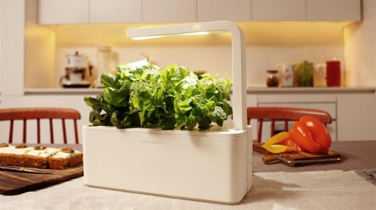 Click and Grow has launched its Smart Herb Garden