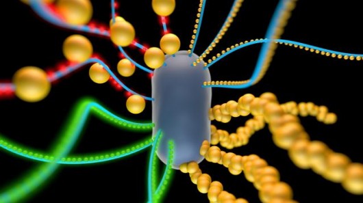 An MIT rendering of a bacterial cell, trailing fibers containing gold nanoparticles and qu...
