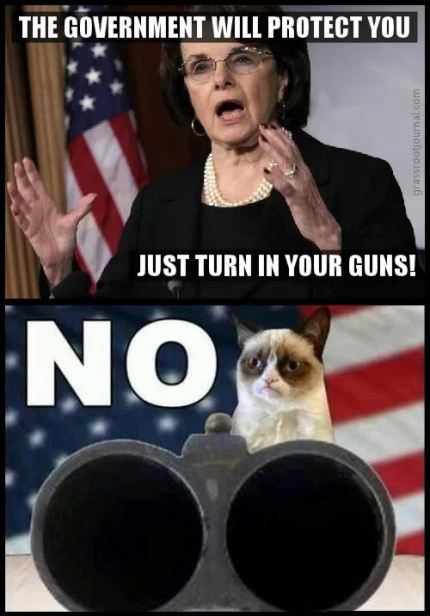 turn in you guns NO