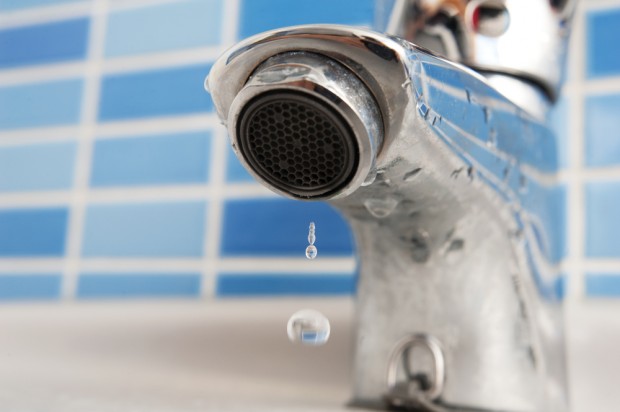 Photo credit: Shutterstock