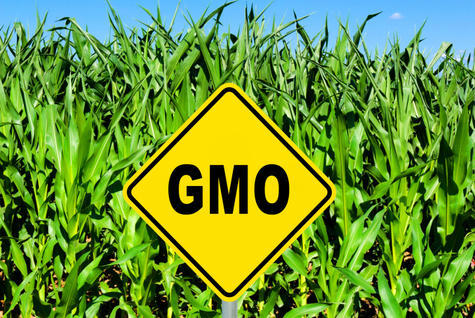 gmo-approval-gmo-sign-field
