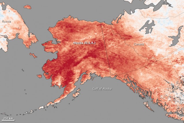 This map depicts land surface temperature anomalies in Alaska for January 2330, 2014. Based on data from the Moderate Resolution Imaging Spectroradiometer (MODIS) on NASAs Terra satellite, the map shows how 2014 temperatures compared to the 20012010 average for the same week. Areas with warmer than average temperatures are shown in red; near-normal temperatures are white; and areas that were cooler than the base period are blue.