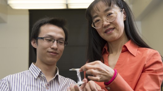 Yu Wang and Katie Zhong, with their gum-inspired electrolyte 