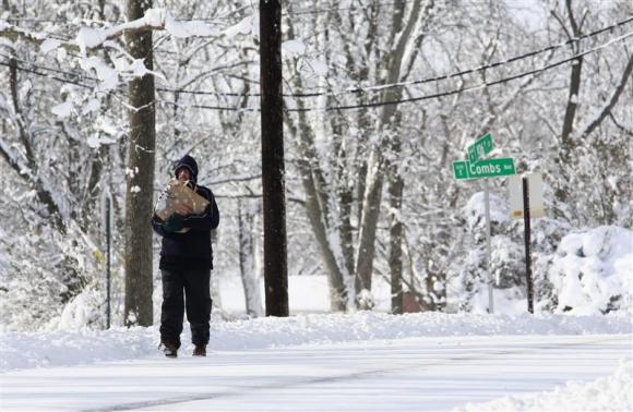 U.S. polar vortex brings Big Chill to forest pests: scientists Photo: Brent Smith