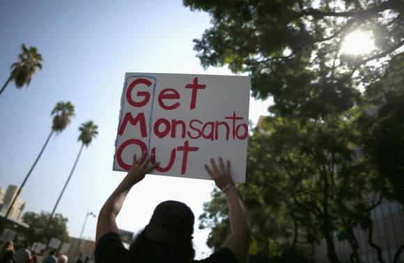 Monsanto critics denied U.S. Supreme Court hearing on seed patents