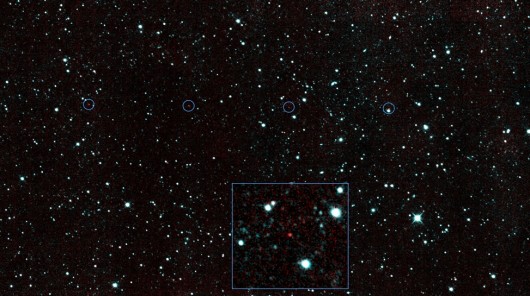 2013 YP139 showing up as a red dot traveling across the sky (Image: NASA)