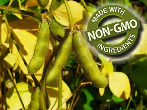 512px-Glycine_max_003