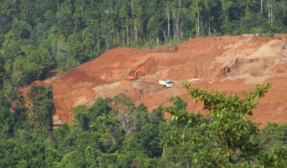 Indonesia overtakes Brazil in forest losses despite moratorium Photo: Neil Chatterjee