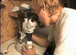 Microscopic analysis