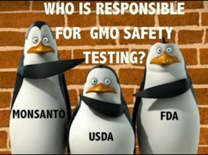 GMO-safety