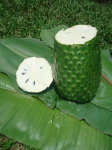 soursop