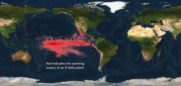 El Nino chances exceed 65 pct this summer -U.S. weather forecaster Photo: NOAA Environmental Visualization Lab