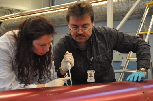 Dr Cora Thiel and Prof Oliver Ullrich salvage DNA molecules from the outer shell of the pa...