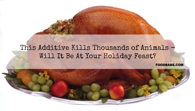 This Drug Has Sickened Thousands of Animals  Will It Be At Your Holiday Feast?