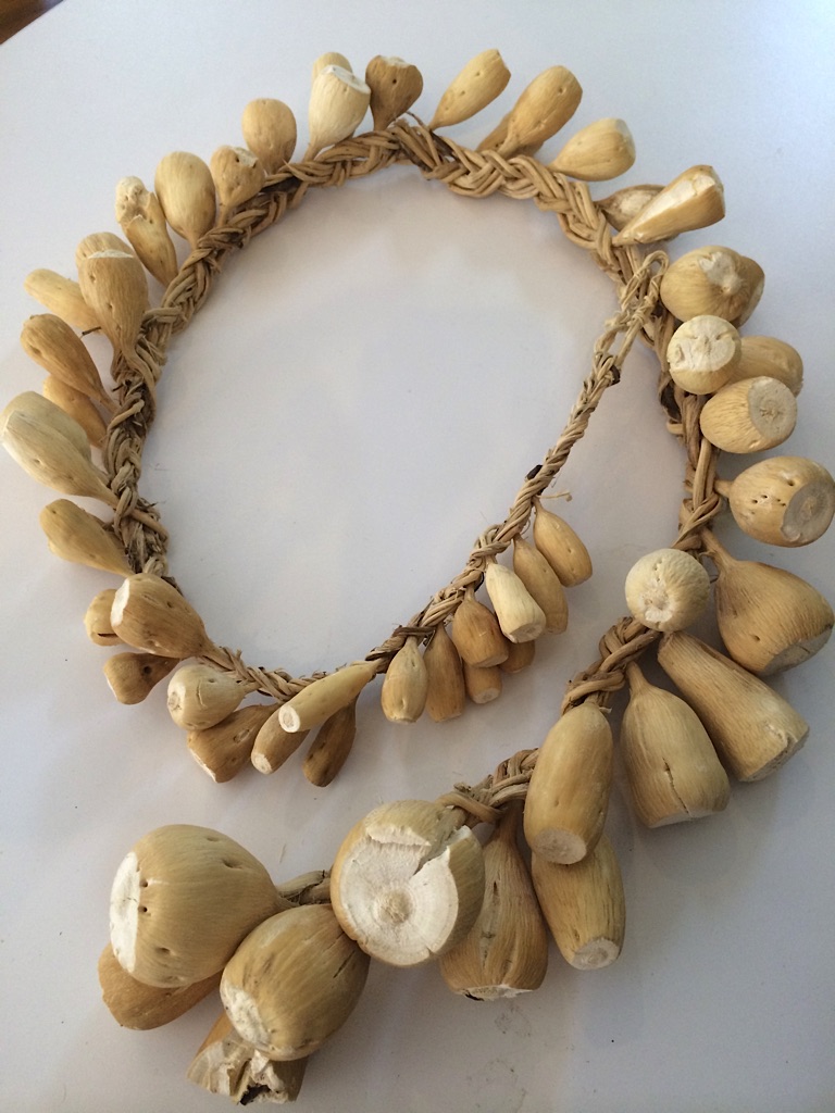 This dried timpsula, or prairie turnip, is braided in the traditional Lakota style from South Dakota. (Sean Sherman)