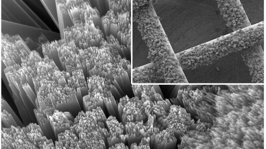 Electron microscope images of the nanometer-sized rods of titanium dioxide that cover the ...