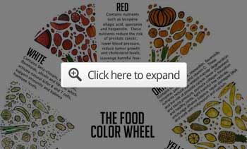 the food color chart infographic