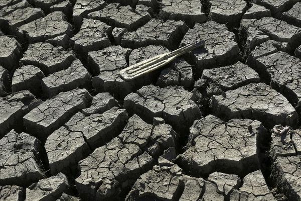 California governor orders statewide water cutbacks to combat drought Photo: Robert Galbraith