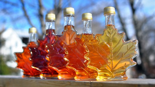 Scientists have produced a maple syrup extract that bolsters the ability of antibiotics to...