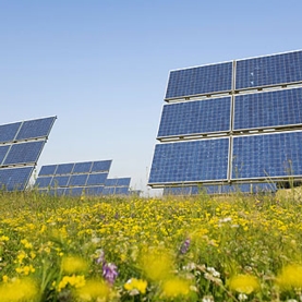 solar-photovoltaic-array